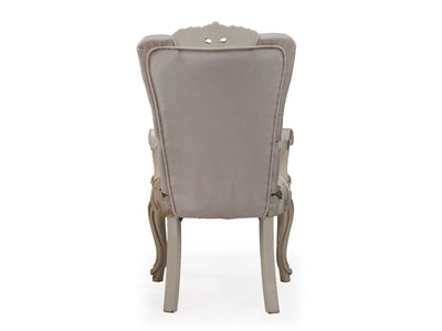 Buse 19" Wide Dining Armchair