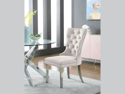 Carmen Meri 21.5" Wide Dining Chair (Set of 2)