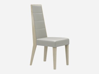 Chiara 19.5" Wide Dining Chair (Set of 2)
