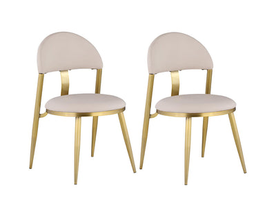 Kiana 20" Wide Dining Chair (Set of 2)